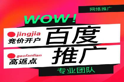 竞价广告优化实战案例分享